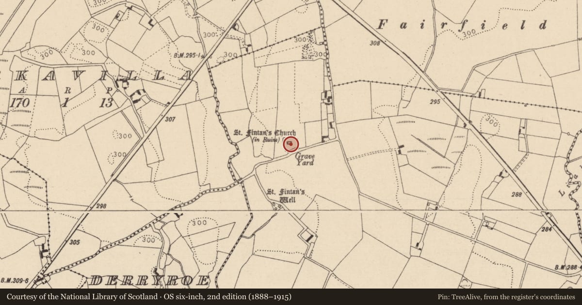 Ordnance Survey six-inch map, 2nd edition (1888–1915) covering the location of Graveyard, Cromoge, County Laois, with a pin at the register's coordinates