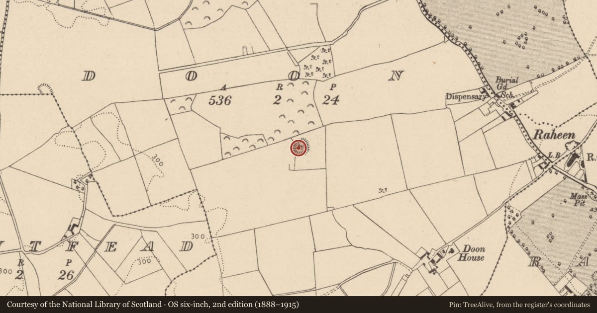 Ordnance Survey six-inch map, 2nd edition (1888–1915) covering the location of Enclosure, Doon, County Laois, with a pin at the register's coordinates