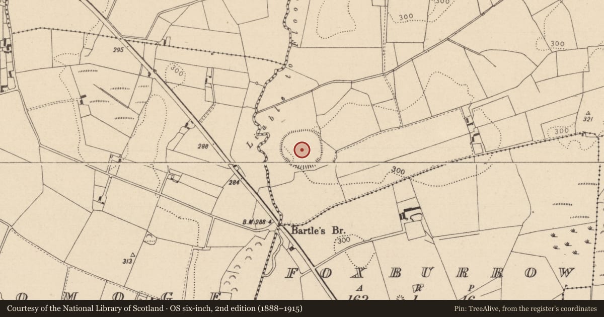 Ordnance Survey six-inch map, 2nd edition (1888–1915) covering the location of Enclosure, Mountfead, County Laois, with a pin at the register's coordinates