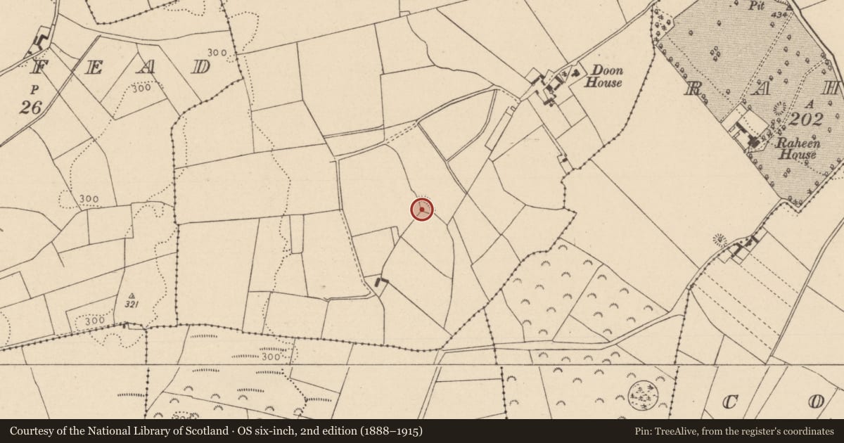 Ordnance Survey six-inch map, 2nd edition (1888–1915) covering the location of Enclosure, Doon, County Laois, with a pin at the register's coordinates