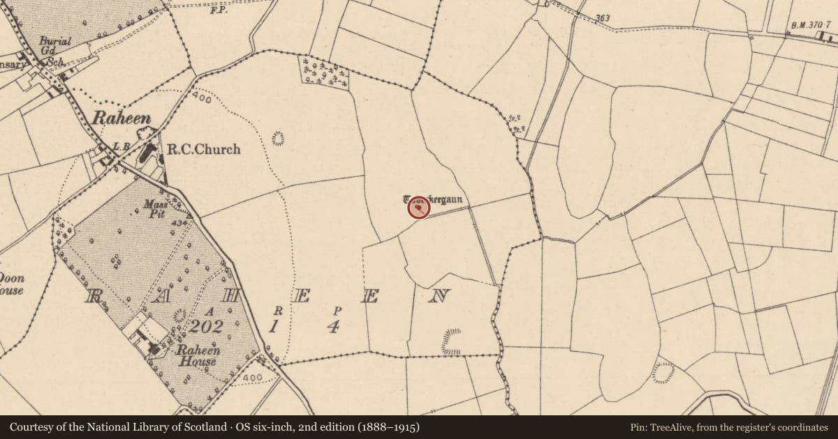 Ordnance Survey six-inch map, 2nd edition (1888–1915) covering the location of Ritual site - holy well, Raheen, County Laois, with a pin at the register's coordinates