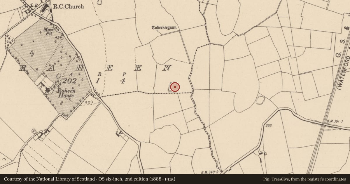 Ordnance Survey six-inch map, 2nd edition (1888–1915) covering the location of Moated site, Raheen, County Laois, with a pin at the register's coordinates