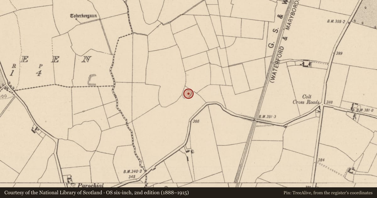 Ordnance Survey six-inch map, 2nd edition (1888–1915) covering the location of Moated site, Colt, County Laois, with a pin at the register's coordinates
