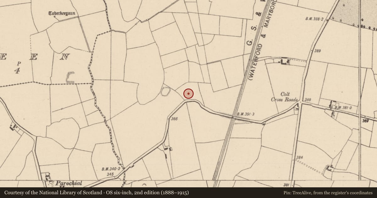 Ordnance Survey six-inch map, 2nd edition (1888–1915) covering the location of Enclosure, Colt, County Laois, with a pin at the register's coordinates