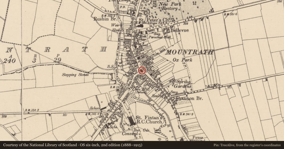 Ordnance Survey six-inch map, 2nd edition (1888–1915) covering the location of Historic town, Dysartbeagh, Mountrath, County Laois, with a pin at the register's coordinates
