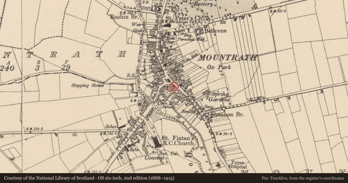 Ordnance Survey six-inch map, 2nd edition (1888–1915) covering the location of House - 16th/17th century, Mountrath, County Laois, with a pin at the register's coordinates