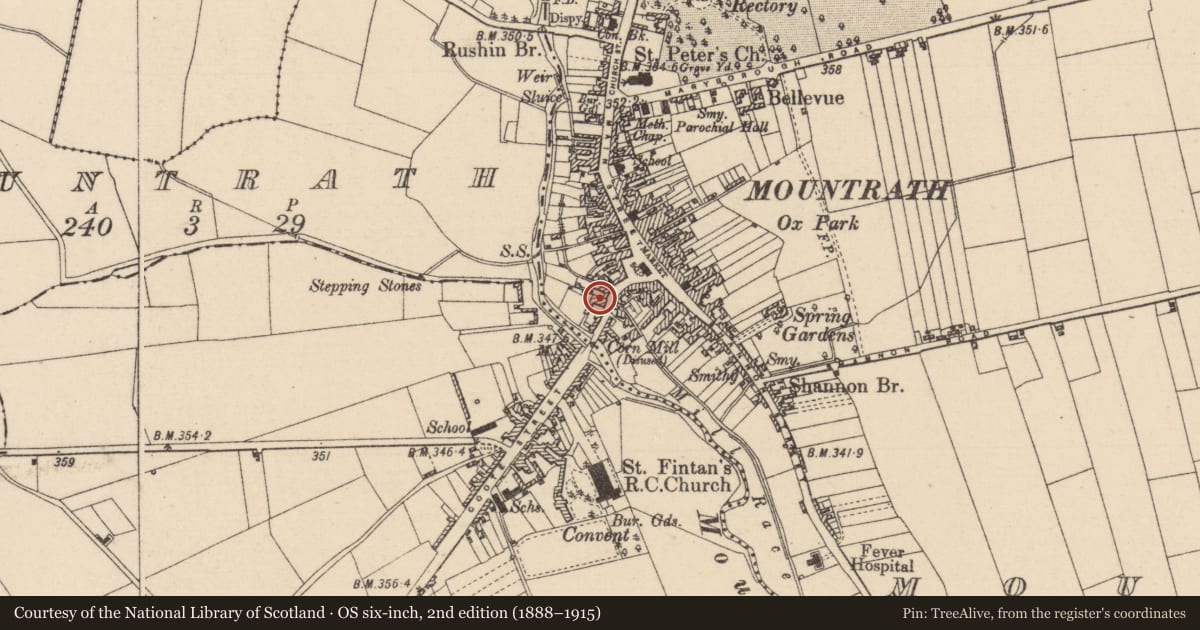Ordnance Survey six-inch map, 2nd edition (1888–1915) covering the location of Meeting-house, Mountrath, County Laois, with a pin at the register's coordinates