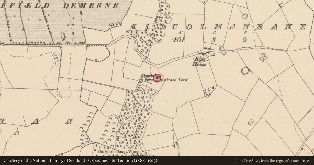 Ordnance Survey six-inch map, 2nd edition (1888–1915) covering the location of Church, Kilcolmanbane, County Laois, with a pin at the register's coordinates
