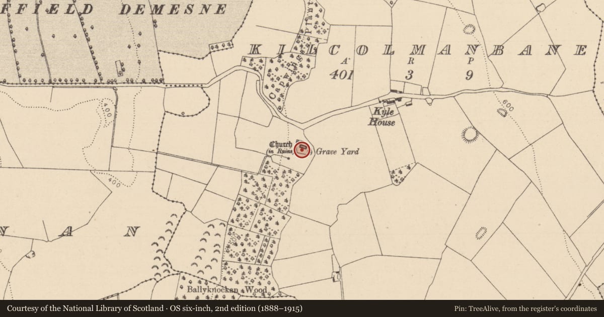 Ordnance Survey six-inch map, 2nd edition (1888–1915) covering the location of Graveyard, Kilcolmanbane, County Laois, with a pin at the register's coordinates