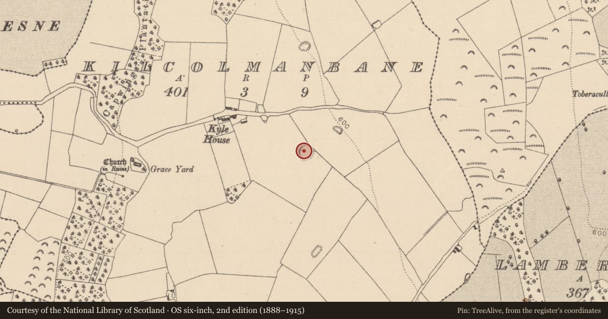 Ordnance Survey six-inch map, 2nd edition (1888–1915) covering the location of Enclosure, Kilcolmanbane, County Laois, with a pin at the register's coordinates