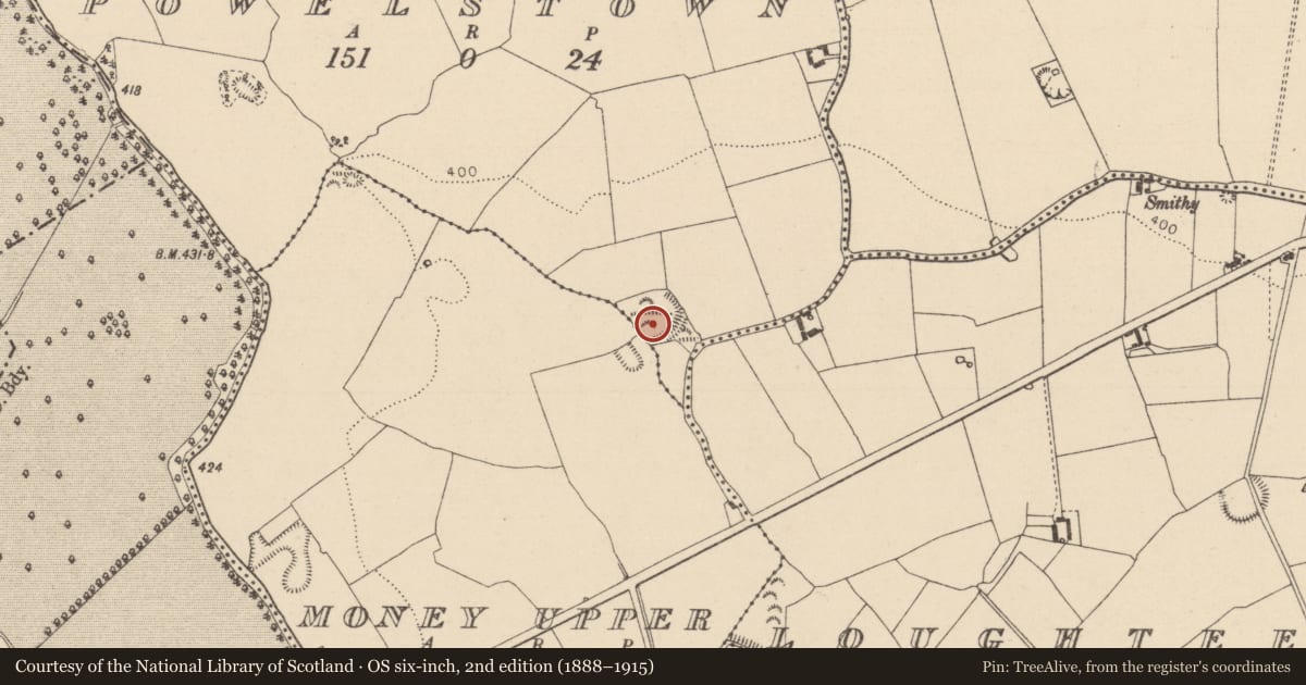 Ordnance Survey six-inch map, 2nd edition (1888–1915) covering the location of Enclosure, Powelstown, County Laois, with a pin at the register's coordinates