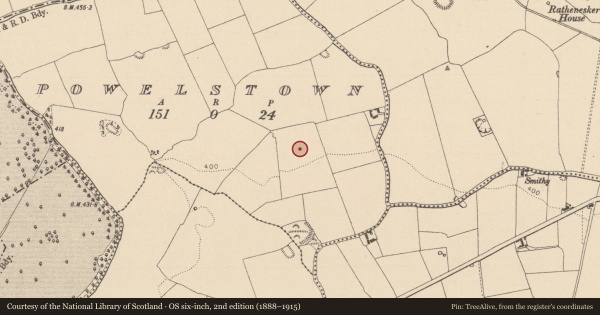 Ordnance Survey six-inch map, 2nd edition (1888–1915) covering the location of Enclosure, Powelstown, County Laois, with a pin at the register's coordinates
