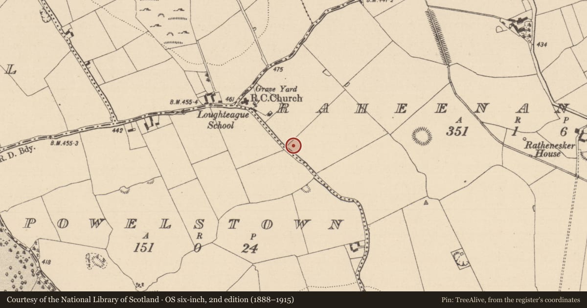 Ordnance Survey six-inch map, 2nd edition (1888–1915) covering the location of Enclosure, Raheenanisky, County Laois, with a pin at the register's coordinates