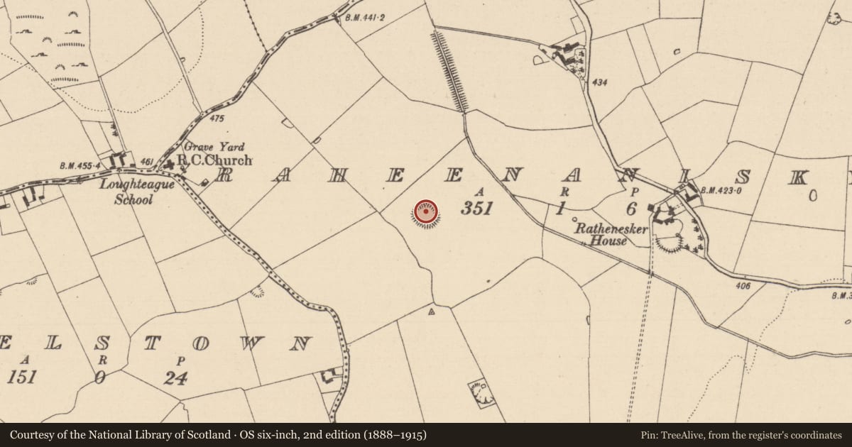 Ordnance Survey six-inch map, 2nd edition (1888–1915) covering the location of Ringfort - rath, Raheenanisky, County Laois, with a pin at the register's coordinates