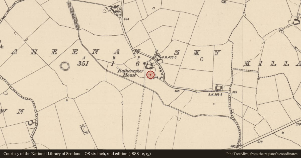 Ordnance Survey six-inch map, 2nd edition (1888–1915) covering the location of Enclosure, Raheenanisky, County Laois, with a pin at the register's coordinates