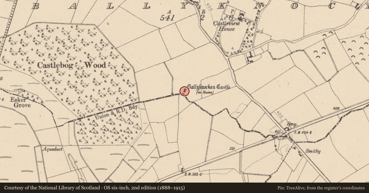 Ordnance Survey six-inch map, 2nd edition (1888–1915) covering the location of Castle - tower house, Ballyknockan, County Laois, with a pin at the register's coordinates