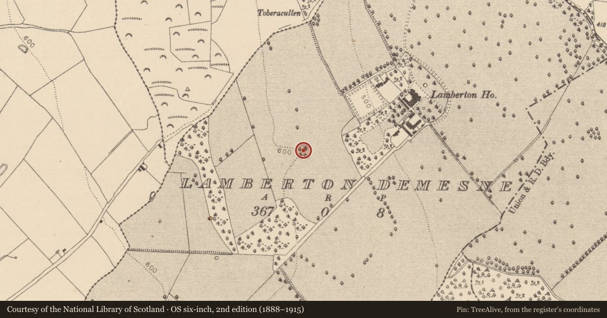Ordnance Survey six-inch map, 2nd edition (1888–1915) covering the location of Ringfort - rath, Lamberton Demesne, County Laois, with a pin at the register's coordinates