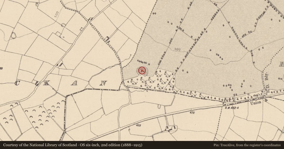 Ordnance Survey six-inch map, 2nd edition (1888–1915) covering the location of Ringfort - rath, Lamberton Demesne, County Laois, with a pin at the register's coordinates