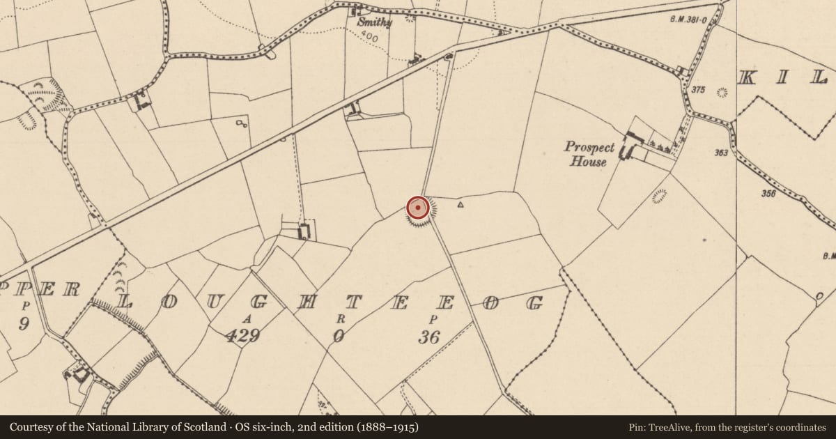 Ordnance Survey six-inch map, 2nd edition (1888–1915) covering the location of Enclosure, Loughteeog, County Laois, with a pin at the register's coordinates
