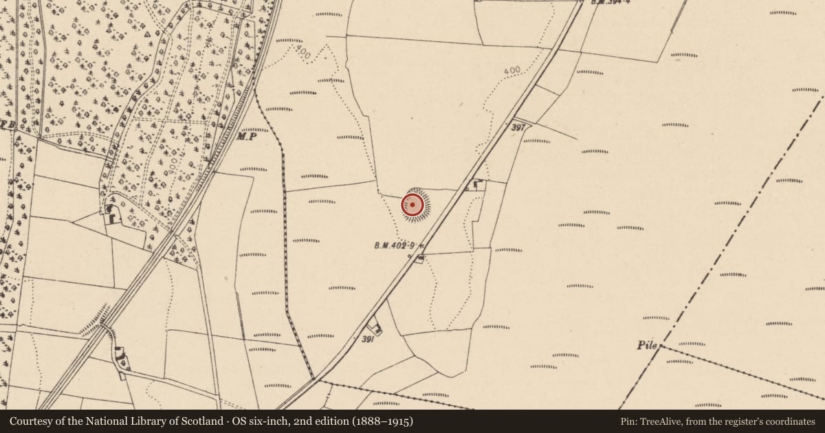 Ordnance Survey six-inch map, 2nd edition (1888–1915) covering the location of Ringfort - rath, Clonaddadoran, County Laois, with a pin at the register's coordinates
