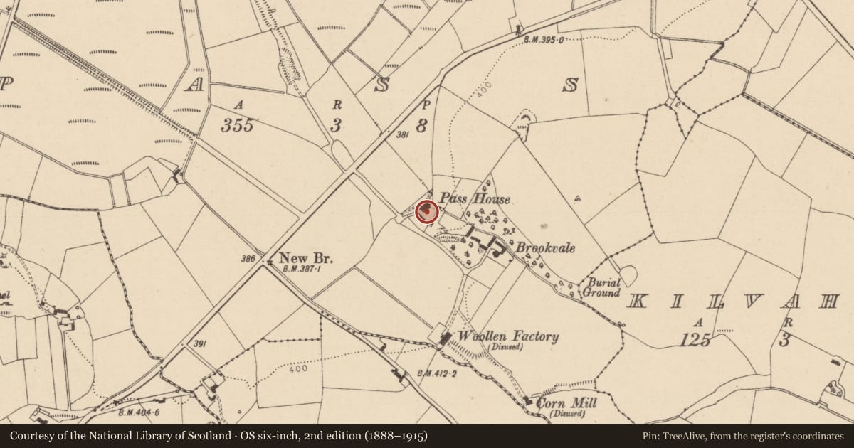 Ordnance Survey six-inch map, 2nd edition (1888–1915) covering the location of House - 16th/17th century, Pass, County Laois, with a pin at the register's coordinates