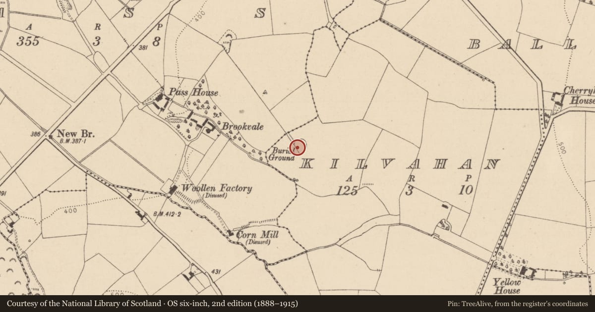 Ordnance Survey six-inch map, 2nd edition (1888–1915) covering the location of Church, Kilvahan, County Laois, with a pin at the register's coordinates