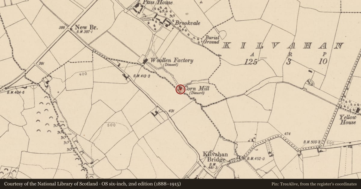 Ordnance Survey six-inch map, 2nd edition (1888–1915) covering the location of Architectural fragment, Pass, County Laois, with a pin at the register's coordinates