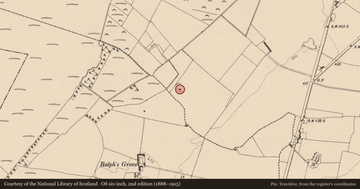 Ordnance Survey six-inch map, 2nd edition (1888–1915) covering the location of Enclosure, Cashel, County Laois, with a pin at the register's coordinates