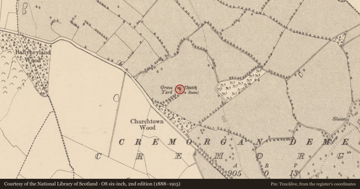 Ordnance Survey six-inch map, 2nd edition (1888–1915) covering the location of Church, Cremorgan, County Laois, with a pin at the register's coordinates