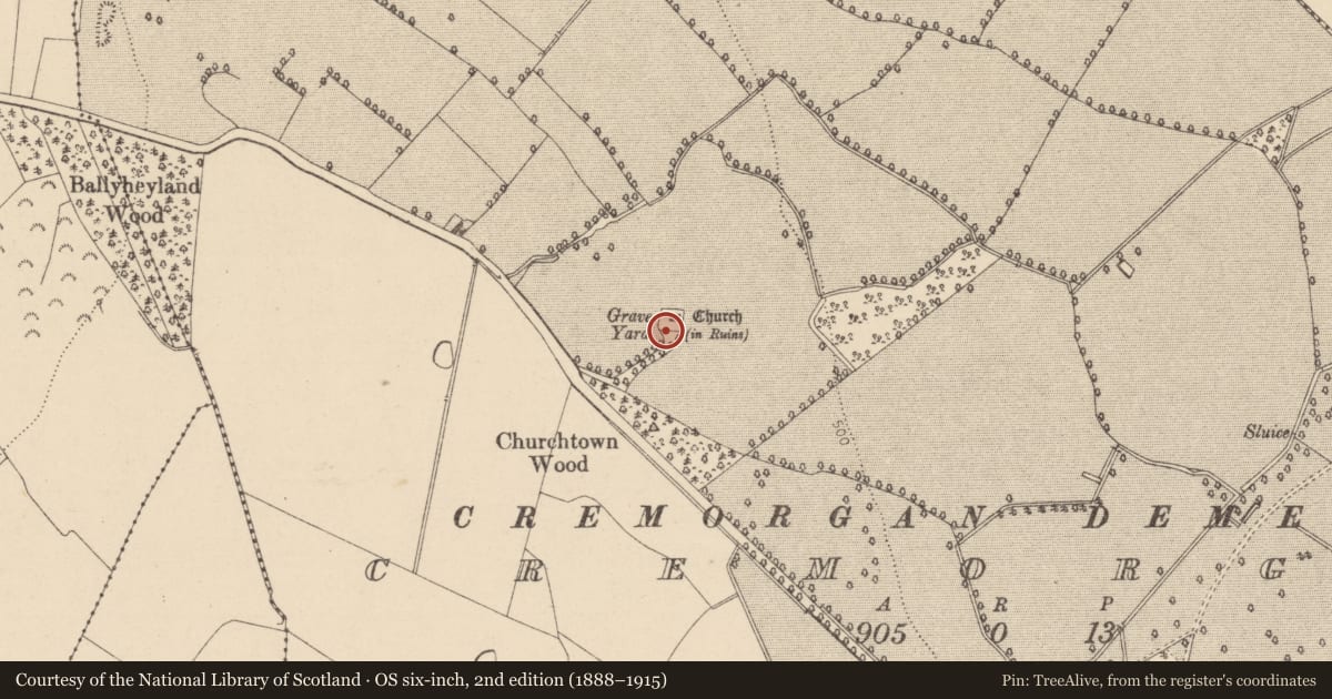 Ordnance Survey six-inch map, 2nd edition (1888–1915) covering the location of Graveyard, Cremorgan, County Laois, with a pin at the register's coordinates