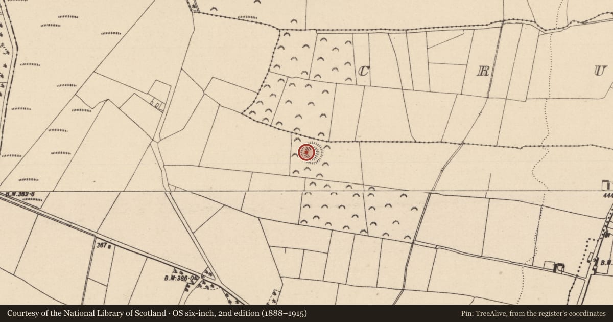 Ordnance Survey six-inch map, 2nd edition (1888–1915) covering the location of Enclosure, Ballyroan, County Laois, with a pin at the register's coordinates