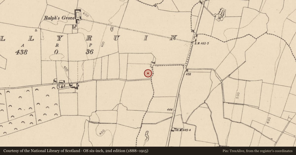 Ordnance Survey six-inch map, 2nd edition (1888–1915) covering the location of Enclosure, Ballyruin, County Laois, with a pin at the register's coordinates