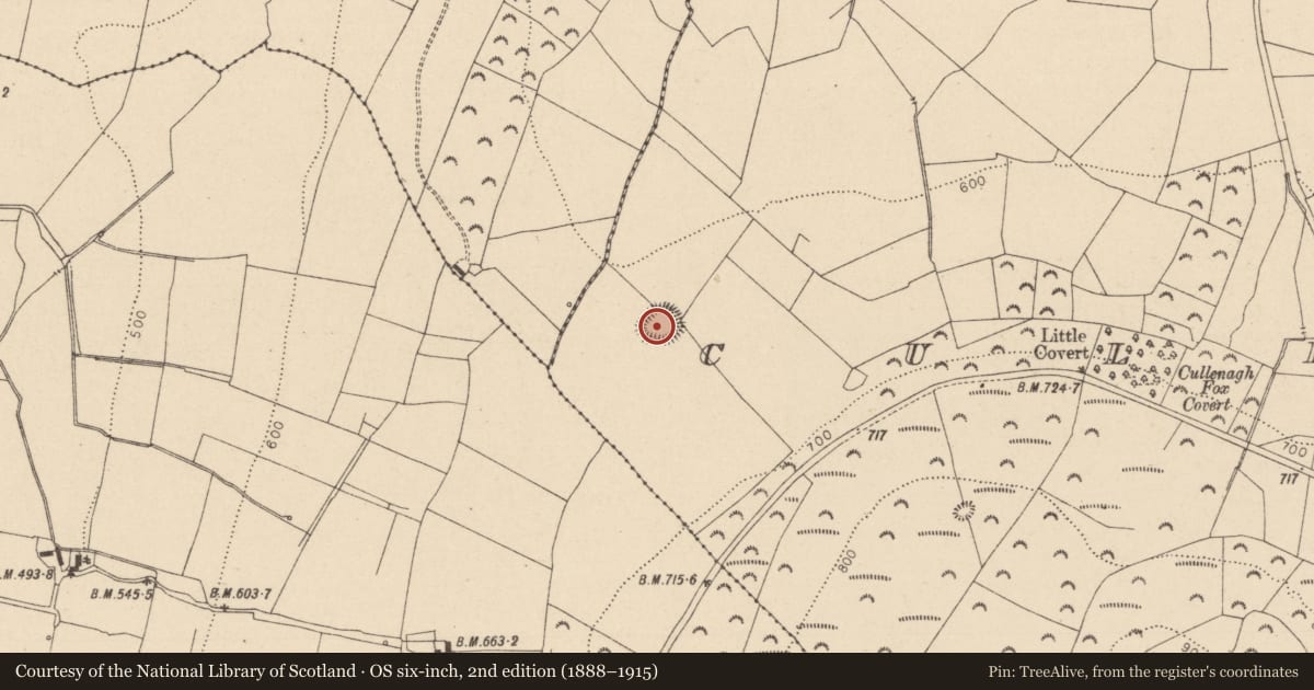 Ordnance Survey six-inch map, 2nd edition (1888–1915) covering the location of Enclosure, Cullenagh, County Laois, with a pin at the register's coordinates
