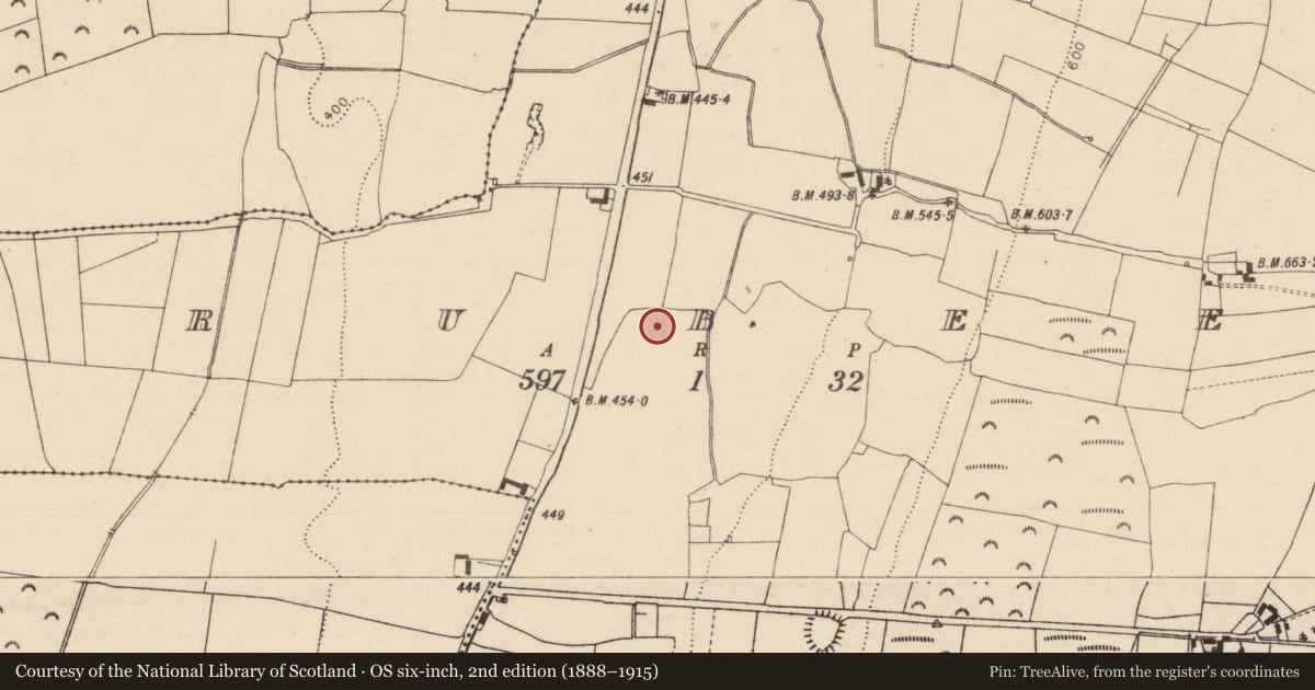 Ordnance Survey six-inch map, 2nd edition (1888–1915) covering the location of Enclosure, Crubeen, County Laois, with a pin at the register's coordinates