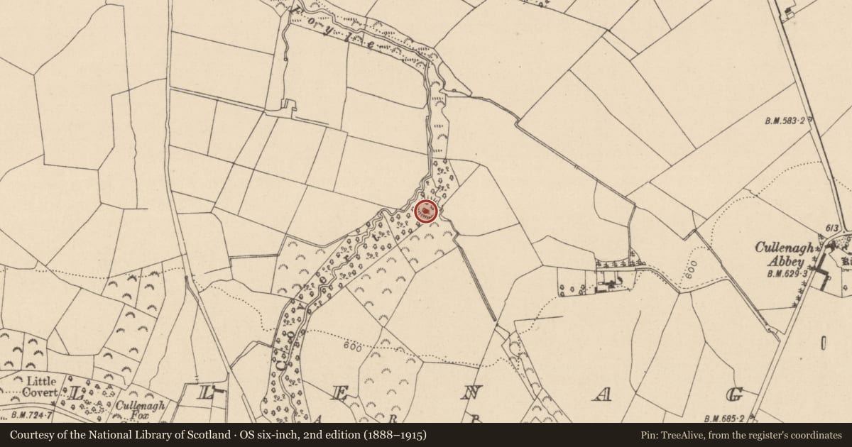 Ordnance Survey six-inch map, 2nd edition (1888–1915) covering the location of Enclosure, Cullenagh, County Laois, with a pin at the register's coordinates