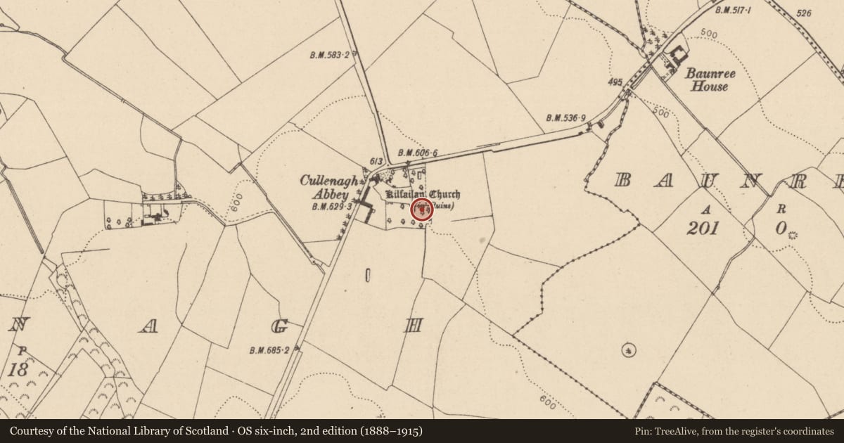 Ordnance Survey six-inch map, 2nd edition (1888–1915) covering the location of Church, Cullenagh, County Laois, with a pin at the register's coordinates