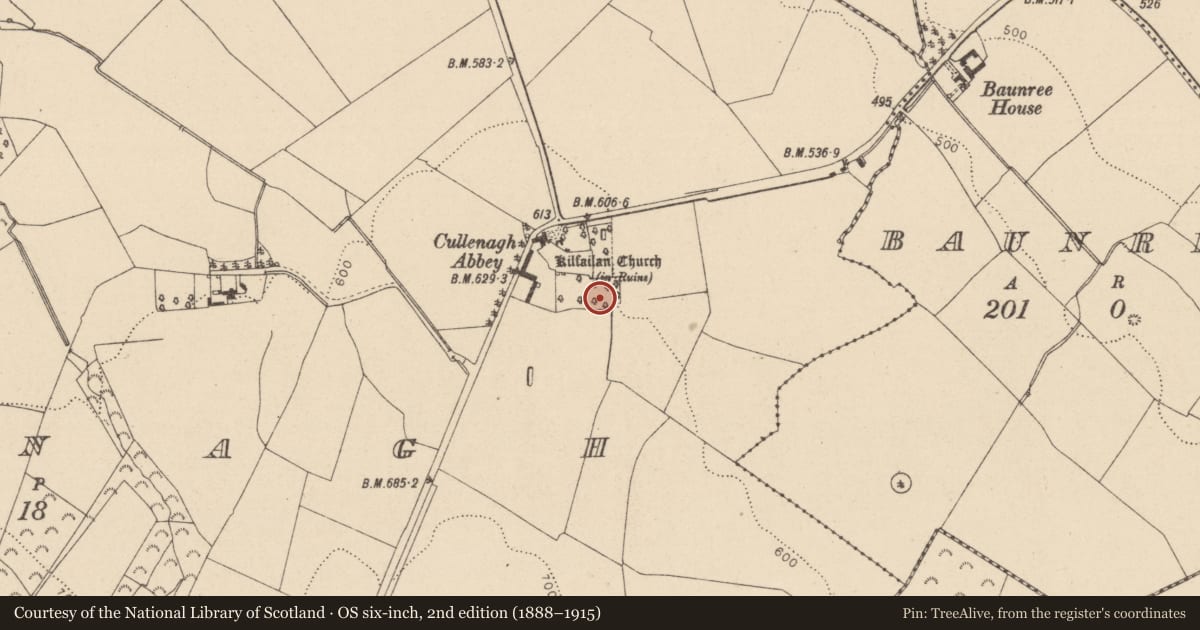 Ordnance Survey six-inch map, 2nd edition (1888–1915) covering the location of Road - road/trackway, Cullenagh, County Laois, with a pin at the register's coordinates