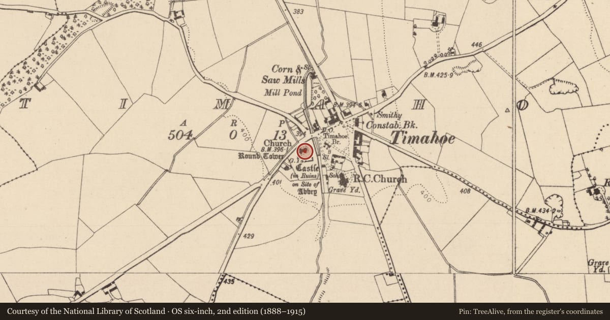 Ordnance Survey six-inch map, 2nd edition (1888–1915) covering the location of Church, Timahoe, County Laois, with a pin at the register's coordinates
