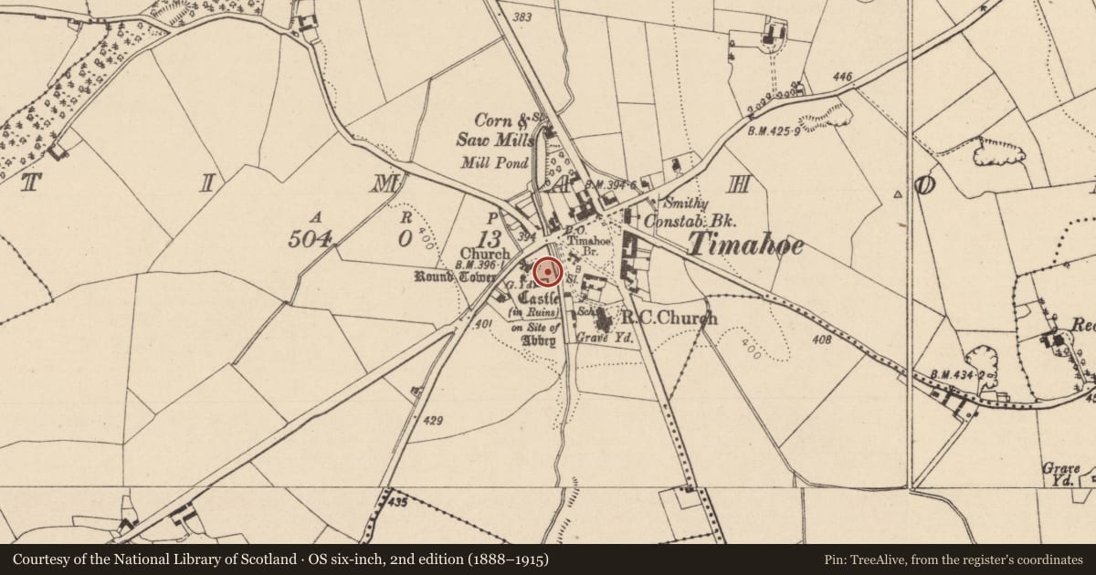 Ordnance Survey six-inch map, 2nd edition (1888–1915) covering the location of Graveyard, Timahoe, County Laois, with a pin at the register's coordinates