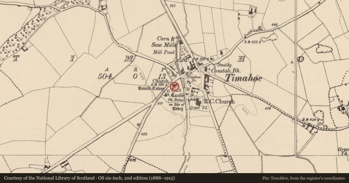 Ordnance Survey six-inch map, 2nd edition (1888–1915) covering the location of Shrine, Timahoe, County Laois, with a pin at the register's coordinates