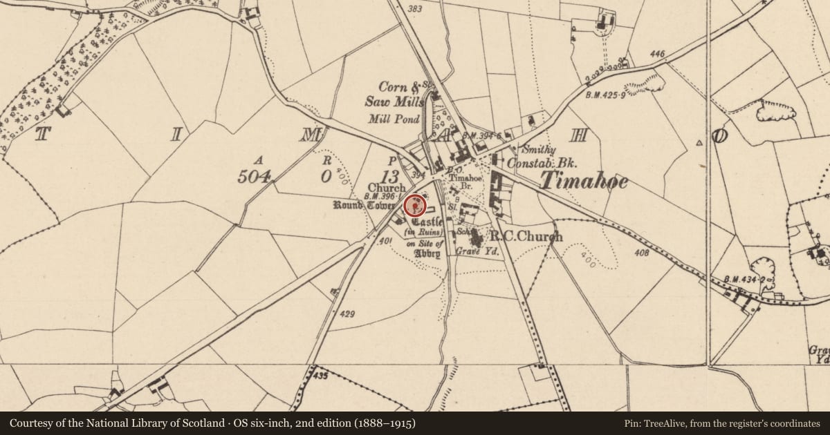 Ordnance Survey six-inch map, 2nd edition (1888–1915) covering the location of Burial, Timahoe, County Laois, with a pin at the register's coordinates