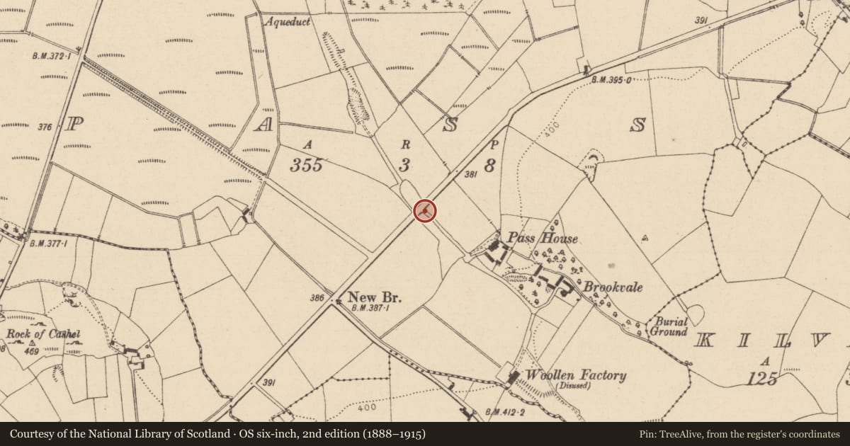 Ordnance Survey six-inch map, 2nd edition (1888–1915) covering the location of Battlefield, County Laois, with a pin at the register's coordinates