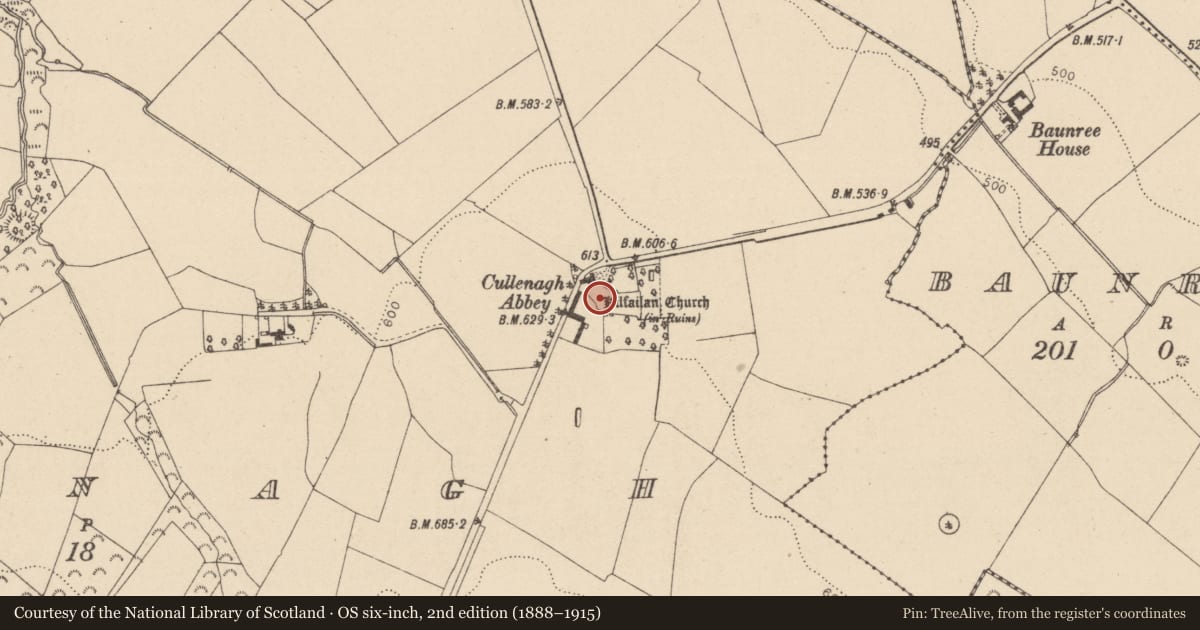 Ordnance Survey six-inch map, 2nd edition (1888–1915) covering the location of Bawn, Cullenagh, County Laois, with a pin at the register's coordinates