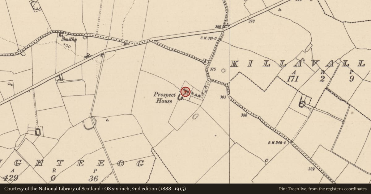 Ordnance Survey six-inch map, 2nd edition (1888–1915) covering the location of Castle - unclassified, Loughteeog, County Laois, with a pin at the register's coordinates