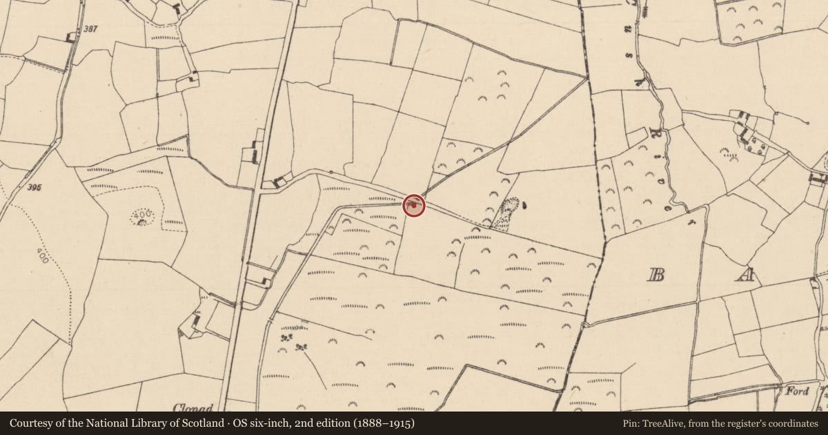 Ordnance Survey six-inch map, 2nd edition (1888–1915) covering the location of Fulacht fia, Clonaddadoran, County Laois, with a pin at the register's coordinates
