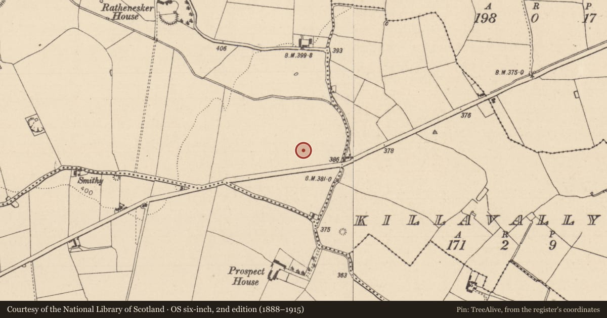 Ordnance Survey six-inch map, 2nd edition (1888–1915) covering the location of Enclosure, Raheenanisky, County Laois, with a pin at the register's coordinates