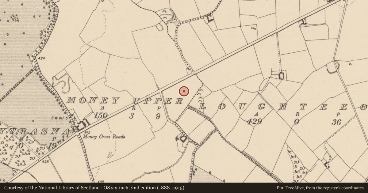 Ordnance Survey six-inch map, 2nd edition (1888–1915) covering the location of Field system, Money Upper, County Laois, with a pin at the register's coordinates
