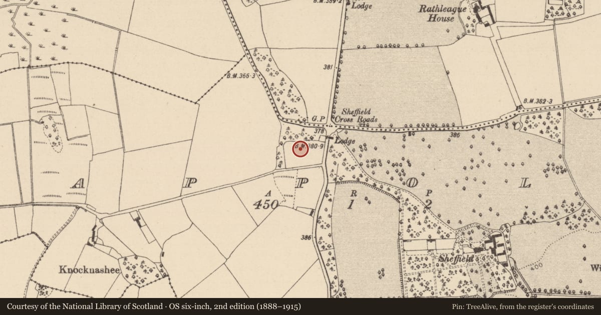 Ordnance Survey six-inch map, 2nd edition (1888–1915) covering the location of Burial, Cappoley, County Laois, with a pin at the register's coordinates