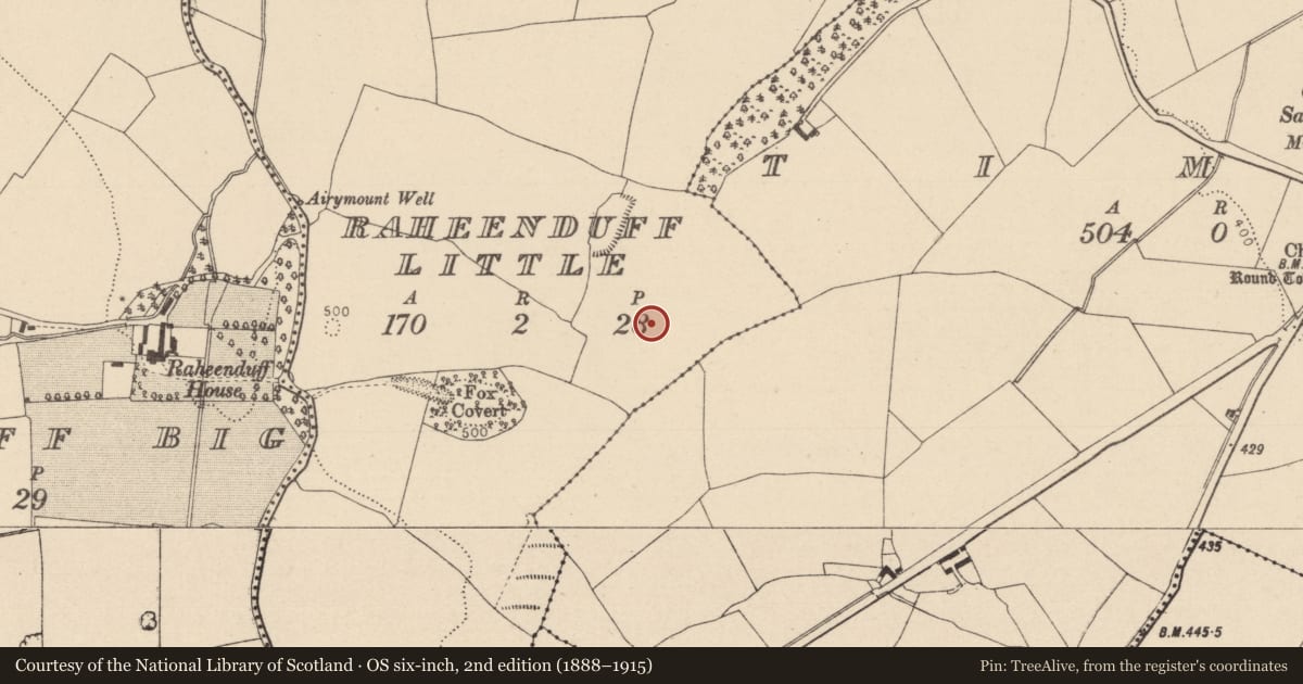 Ordnance Survey six-inch map, 2nd edition (1888–1915) covering the location of Ringfort - unclassified, Raheenduff Little, County Laois, with a pin at the register's coordinates