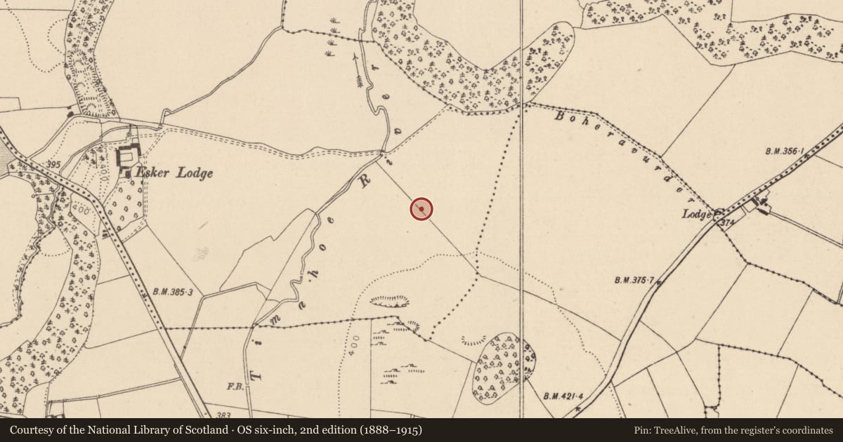 Ordnance Survey six-inch map, 2nd edition (1888–1915) covering the location of Ring-ditch, Timahoe, County Laois, with a pin at the register's coordinates